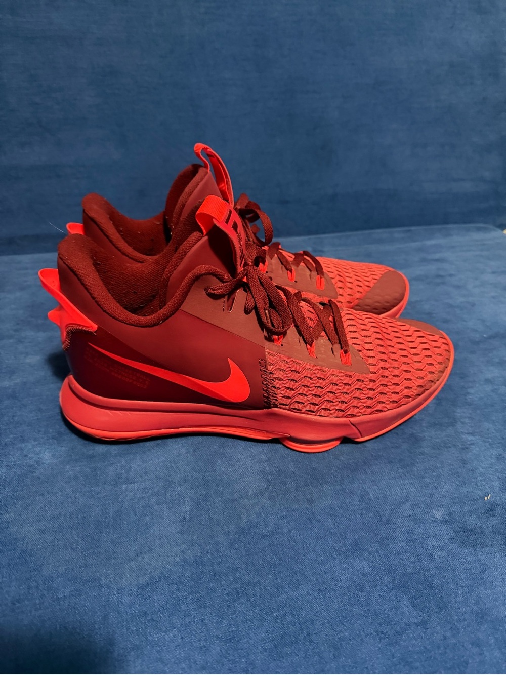 Nike LeBron James shoes